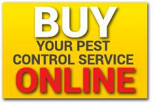 Compra tu servicio de control de plagas online